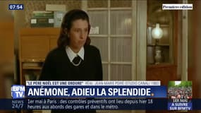 Anémone, adieu la splendide