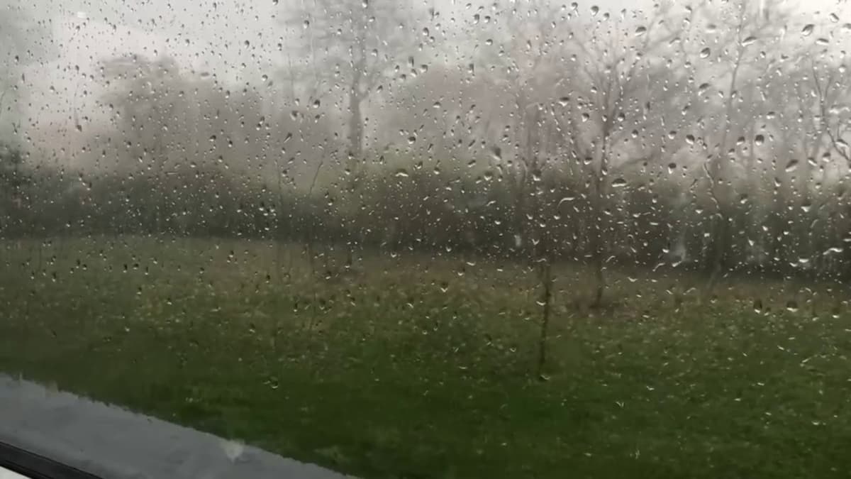placeholder video