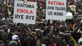 Les acclamations de la foule lors du concert "Bye bye, Au revoir Ebola", organisé à Conakry le 30 décembre 2015. (Photo d'illustration) 