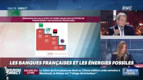 "Objectif Terre": la colossale empreinte carbone des banques françaises