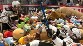 Dans le cadre d'une opération caritative, plus de 100.000 peluches ont été lancées lors d'un match de hockey sur glace entre les Hershey Bears et les Bruins de Providence le 5 janvier 2024 aux Etats-Unis