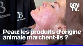 Sperme de saumon, suif de bœuf, bave d’escargot… Les produits d’origine animale sont-ils vraiment efficaces pour la peau? 