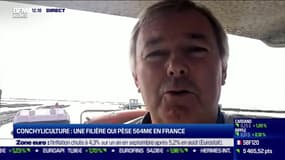 Philippe Le Gal (CNC) : Conchyliculture, une filière qui pèse 564 millions d'euros en France - 29/09