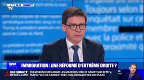 Immigration: "C'est évidemment hors de question d'avoir des régularisations massives de travailleurs" pour Pierre-Henri Dumont (LR)
