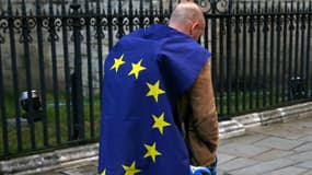 Un manifestant pro U-E enveloppé dans un drapeau de l'Union Européenne dans le centre de Londres le 28 juin 2016 