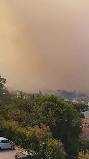 Violent incendie de forêt à Saint-Mandrier-sur-Mer - Témoins BFMTV