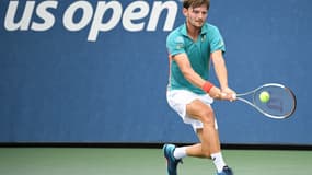 Goffin