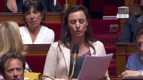 Pour la députée Anna Pic (Socialistes et apparentés), le SNU "s'apparente à une colonie de vacances inadaptée aux enjeux"  