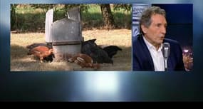 "Xavier Beulin, vous êtes, pieds et mains liés, du côté des industriels"