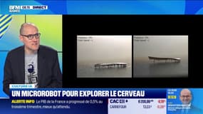 Un microrobot pour explorer le cerveau