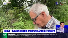 Dans l'Ubaye, de la sylvothérapie organisée pour les personnes atteintes de la maladie d'Alzheimer