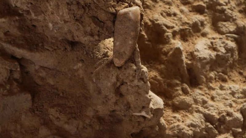 Une dent vieille de 550.000 ans a été découverte.