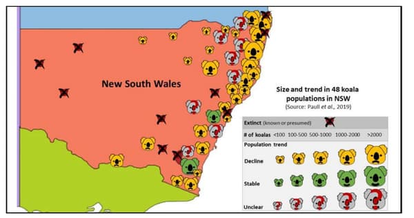 Carte montrant l'emplacement et le nombre approximatif de 48 populations de koalas en Nouvelle-Galles du Sud Carte montrant l'emplacement et le nombre approximatif de 48 populations de koalas en Nouvelle-Galles du Sud