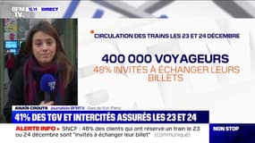 Grève SNCF: en moyenne, 41% des TGV et des Intercités seront garantis les 23 et 24 décembre