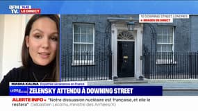 Tensions entre Donald Trump et Volodymyr Zelensky: "Depuis le début de son mandat, Donald Trump n'a pas cessé de mépriser l'Ukraine", affirme Masha Kalina, expatriée ukrainienne en France