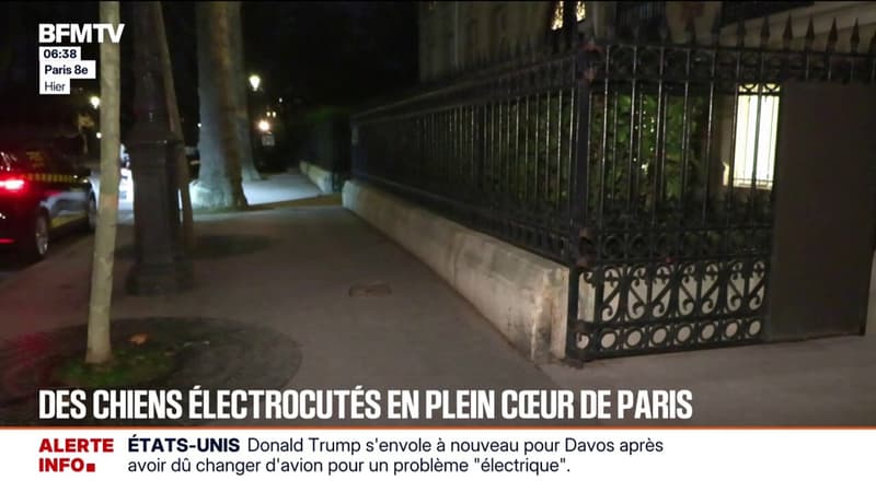 Paris: des chiens électrocutés en marchant sur une plaque aux alentours du parc Monceau