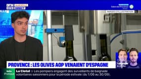 Provence: deux hommes condamnés pour tromperies à l'huile d'olive AOP