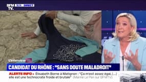 Candidate RN désinvestie après des messages racistes: Marine Le Pen reconnaît "une erreur manifeste"