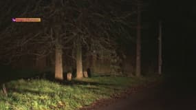 Abandon d'enfant : un père jugé à Nancy