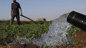 Des agriculteurs irriguent leurs champs dans la province de Chtouka-Aït Baha, au sud de la ville marocaine d'Agadir, le 13 mai 2025 (photo d'illustration).