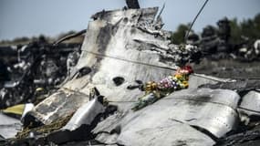 Des fleurs apportées posées sur des débris du MH17, le 26 juillet 2014 à Grabove, dans la région de Donetsk, en Ukraine