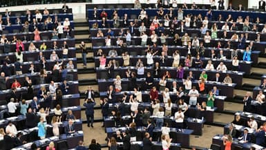 Les membres du Parlement européen applaudissent après le vote sur un projet de loi de restauration des écosystèmes, le 12 juillet 2023 à Strasbourg