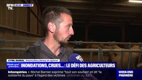 Inondations: "On ne pourra pas semer une culture d'automne", déplore cet éleveur et arboriculteur ardéchois