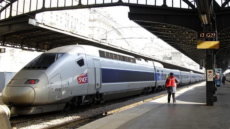 Le trafic TGV était fortement perturbé samedi matin entre Paris et Bordeaux dans les deux sens en raison de violents orages qui ont provoqué des chutes d'arbres sur les voies. Au total, quelque 450.000 personnes sont attendues par la SNCF ce week-end dans