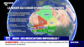 Qui sont les alliés du Niger?