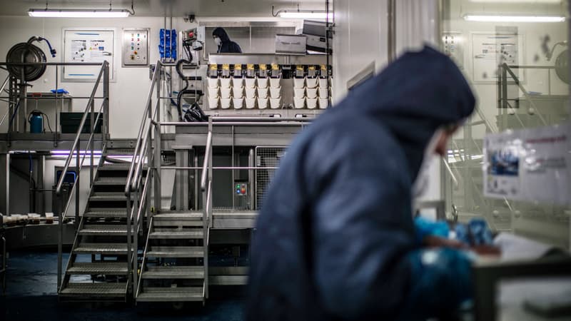 Un jeune ouvrier de Lustucru meurt après être tombé dans un hachoir dans le Rhône, l'usine mise à l'arrêt