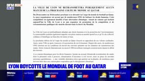 Coupe du monde : pas de rediffusion à Lyon