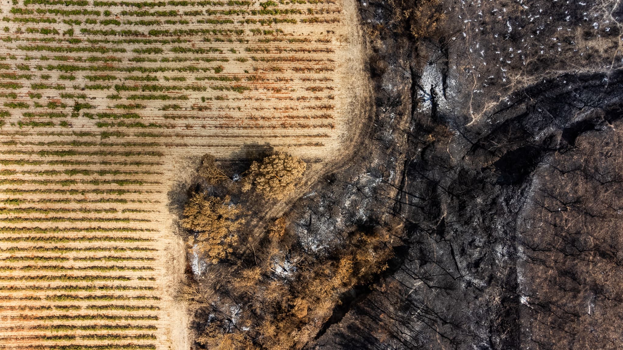 17.000 HECTARES PARCOURUS: LE GIGANTESQUE INCENDIE DANS L'AUDE DÉSORMAIS ÉTEINT, 23 JOURS APRÈS LE DÉPART DU FEU