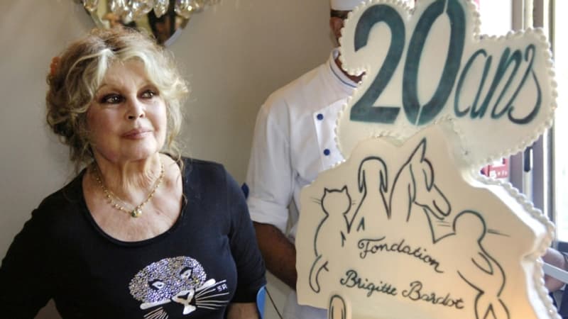 "Vulgaires et minables opérations de récupération": la fondation Brigitte Bardot alerte sur la vente de faux produits dérivés après la mort de l'actrice