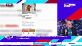 On n'arrête pas le progrès : Cueillette, méfiez-vous des applications pour reconnaître les champignons - 22/10