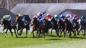 Les pronos hippiques du 11 mai 2022