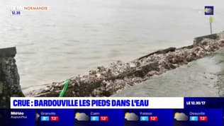 Seine-Maritime: l'eau est montée à Bardouville après une rupture d'une partie de la digue