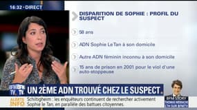 Disparition de Sophie Le Tan : le deuxième ADN féminin découvert au domicile du suspect conforte un profil de "serial killer"