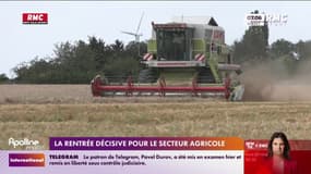 La rentrée décisive pour le secteur agricole