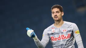 Cican Stankovic - Salzbourg