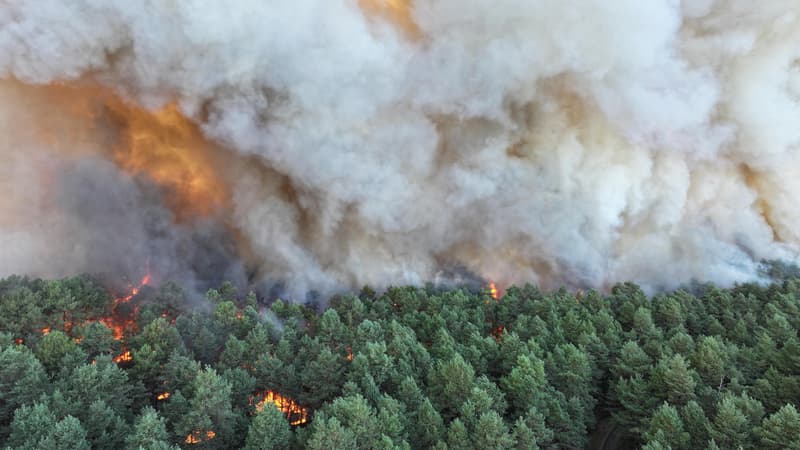 "Déjà plus que sur toute la saison 2025": Laurent Nuñez annonce que 32.000 hectares ont brûlé depuis le début de l'année en France