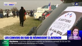 Les "convois de la liberté" partis du sud se sont rejoints à Avignon