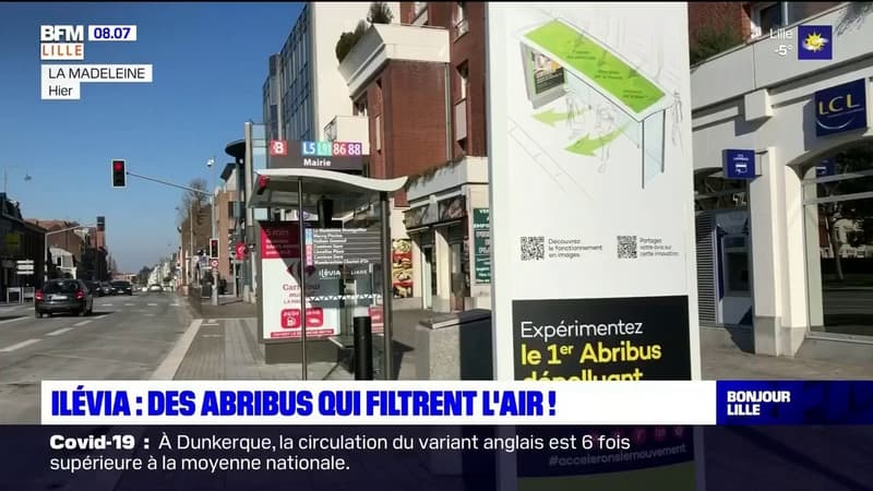 Lille: un abribus dépolluant expérimenté sur le réseau Ilévia