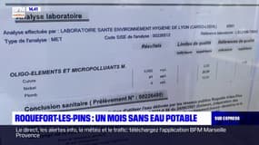 Roquefort-les-Pins: les habitants privés d'eau potable depuis près d'un mois 