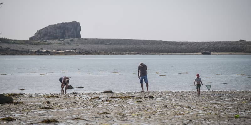 Des pêcheurs de coquillages en Bretagne en juillet 2024.