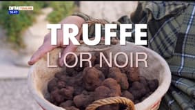 Le Var & Vous, du champ à l'assiette : truffe, l'or noir