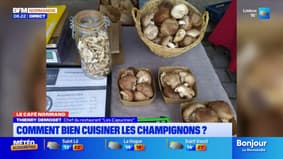 Le café de l'info: cueillette aux champignons et 40 ans de Tchernobyl