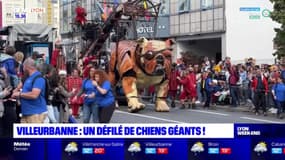 Villeurbanne: un défilé de chiens géants dans les rues