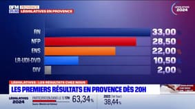 Résultats législatives: le RN donné en tête selon les premières estimations