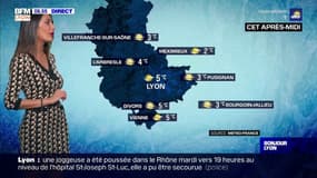 Météo à Lyon: de belles éclaircies mais les températures baissent, seulement 5°C cet après-midi