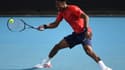 Gaël Monfils
